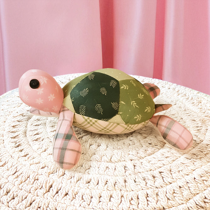 🐢 Tom the Turtle